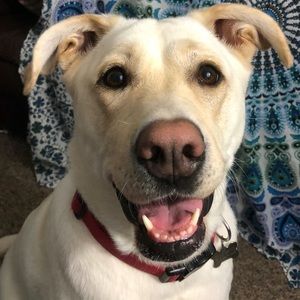 Meet your Posher, Karen